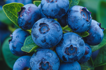 Explore seven proven benefits of blueberries.